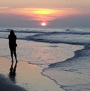 Meet your Posher, Alice